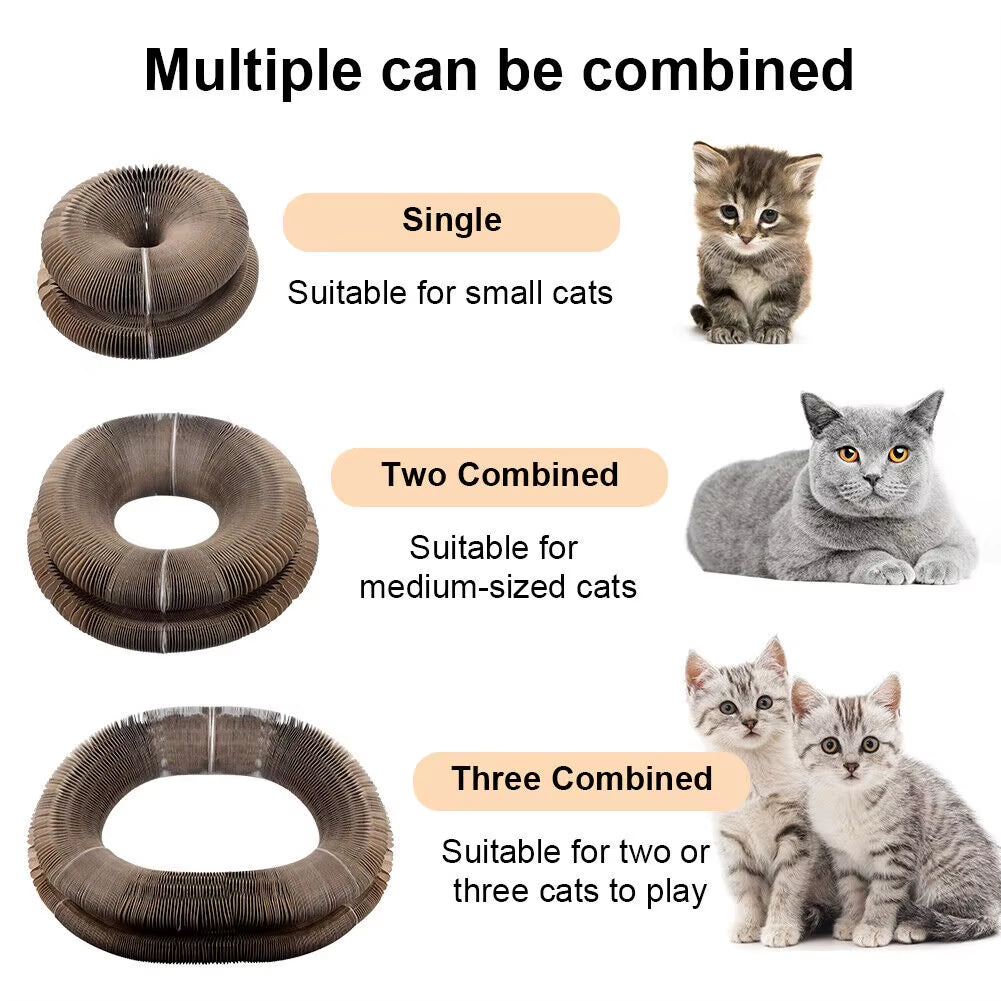 Cat Foldable Magic Organ Cat Scratching Board Funny Toy Grinding Claw Sleeping Bed Thickened Cat Interactive Toys Pet Supplies